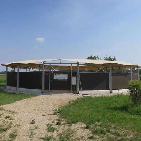 Holiday Home Domus Magna-3 By Interhome Povoletto Bagian luar foto